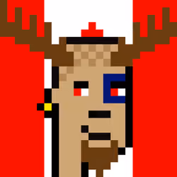 CryptoPunk - Canada