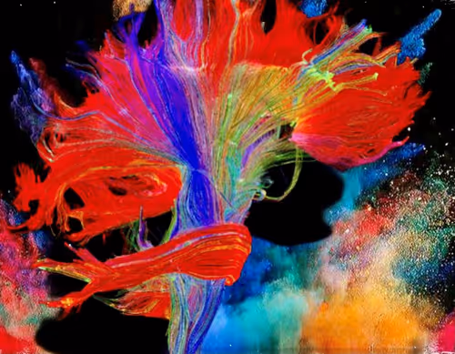 Item #44820903106987093458998790611995561527004783591399631822843358584044003524609 Media