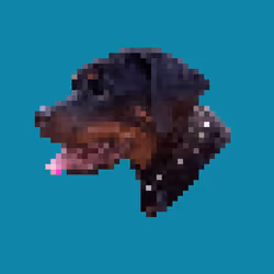 BAD.ROTTY 4