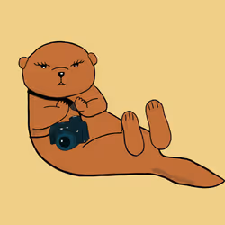 90928748387075443507154162985813756138044416890829082269888865354327592534017