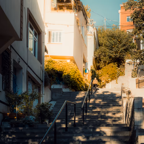 25828147237821198195018353565513715926828886605696715423323237897088672989185