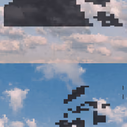 Trumped In The Clouds