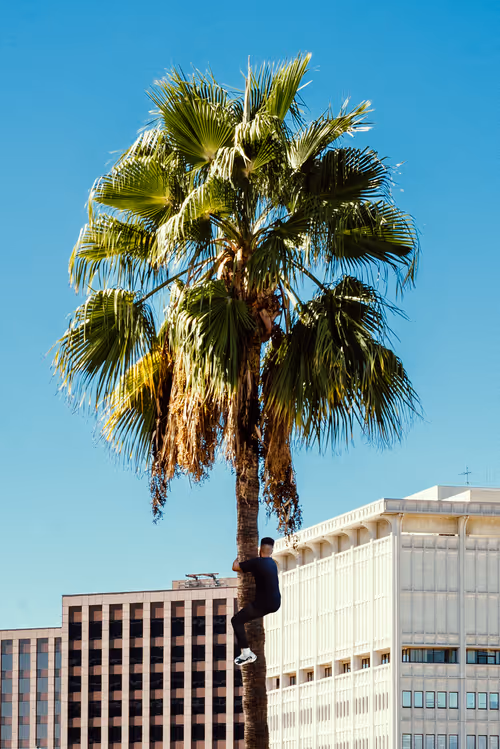 Item #10265671648122468476873680655396214649618748606022625962118217576191696568321 Media