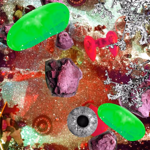 Item #99617095079910595980254990270876944363628162276742898399989141791731653541889 Media