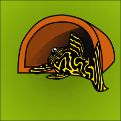 81664083123670143983968740139941474364733981378414170565535210812148553875457