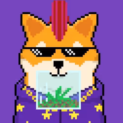 SHIBOSHIS v2 #4200