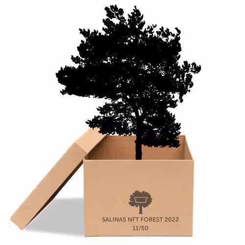 Item #63532776318757439562276927313719991273687356279339277108967620976123861532673 Media