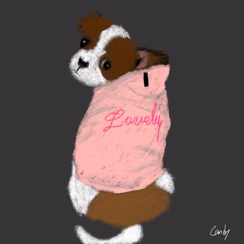 CANDY_Why? #0002