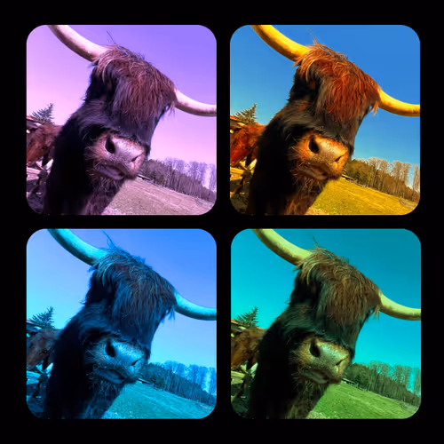 26775048074564914634516076797283750363850479455184552721433135300412872589313