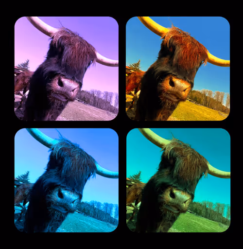 Item #26775048074564914634516076797283750363850479455184552721433135300412872589313 Media