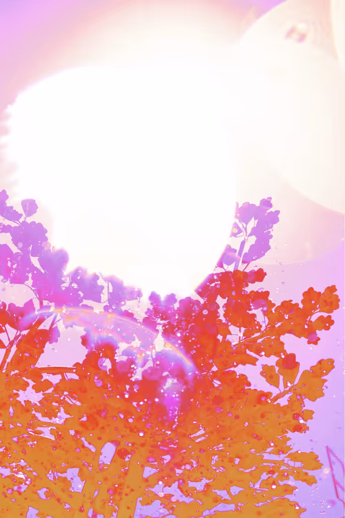 Item #27434377377013038178664737441891876800279773627045091571206927090122655531009 Media