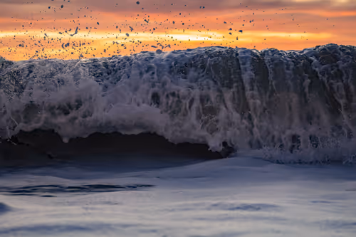 Item #31148491636585346537962268963820775448082611887353853734618727451815747518465 Media