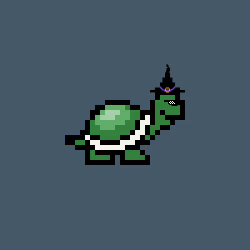 Timidturtles