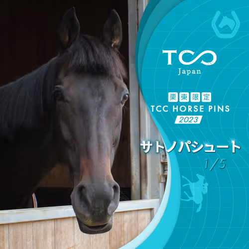 Item #32261650021671989586304276228843745151688097955636395340171962809437166501889 Media