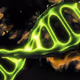 DNA 420.69