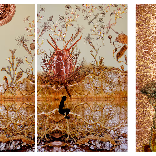 495481811379815144822817045191940406025038668845752407780709703605723070465