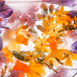 80829721372825377784010953381890255518558028243098186913878117767446595108865