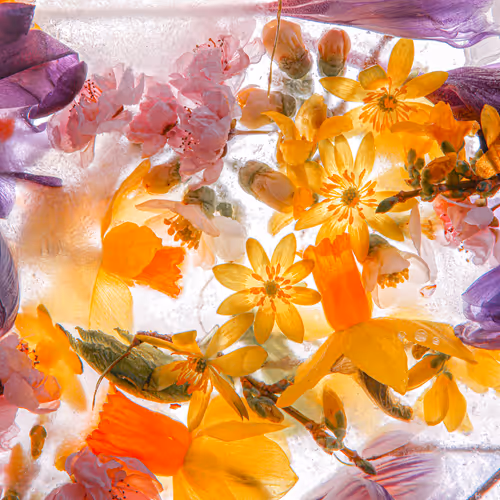 Item #80829721372825377784010953381890255518558028243098186913878117767446595108865 Media