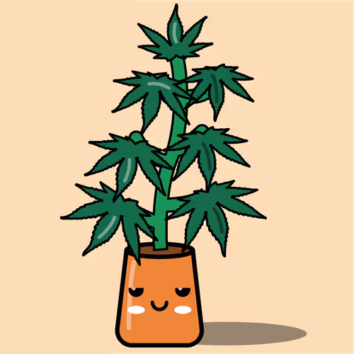 Item #66255264578287574435666665996750621832081339736765487209875164653599506563073 Media