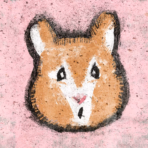Hamster #022
