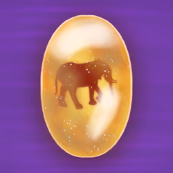 African Forest Elephant