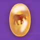 16970820981724833139292597517682300331609410792116564046555164081822185291777