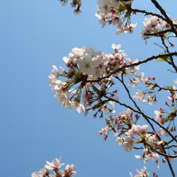 82128306357763875677992979084533453962815137074133455862851432428614950322177