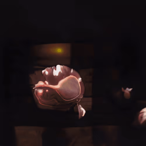 Item #72191770546992921943267033160474518012437629238460681668476305487658624221185 Media