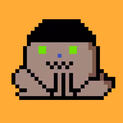 PunkToad #37