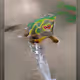 110371613960935959357888473950785093405286635344299845408015399839237343805441