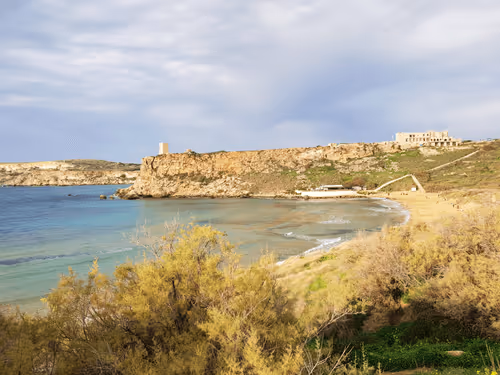 Untitled Collection #51122113