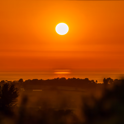 Golden Glow