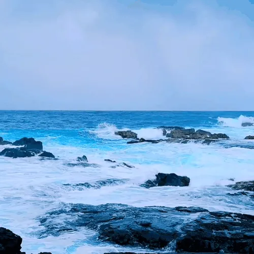 Item #19755943560703832549694930259889174281342606690861395808005517938742851010561 Media