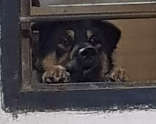 Item #56055091060271351536523847984853154360378800009370414984463609028383843811329 Media