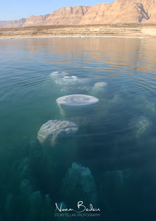 Item #95487849317578156668407947813270977219507958341613575813230836807497251028993 Media