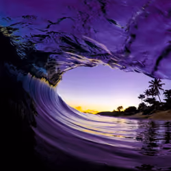 purple haze 