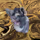 53180631642456764738139299674940583640479914081960747744151189771773703880705