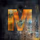 The M Collection