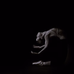 #12 - Surrender