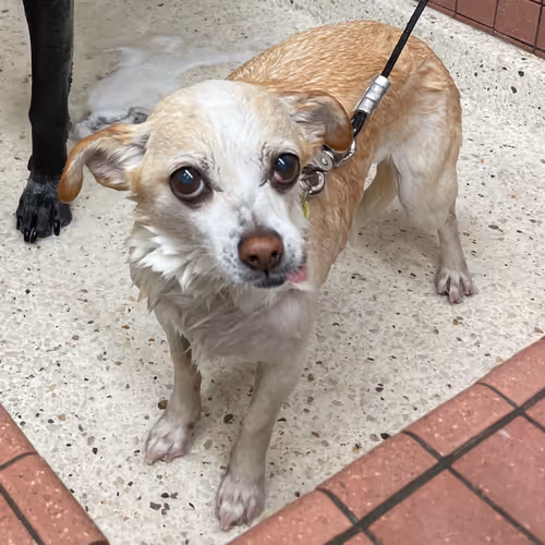 Untitled Collection #68848393