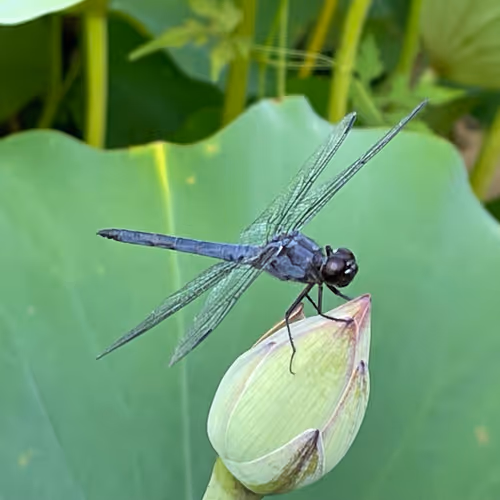 25372994447545615556595153878681400140350305593099141563031706314443424006145