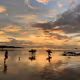 Sunset Surfers