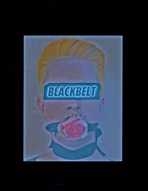 Item #6543125285758794139519418366552479585360659536622126303737984960605150248961 Media