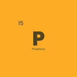 12332245684065198764694527978536122317407596672492401615866658085759057133569