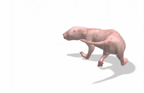 Item #93779550390020480377429349939349333269021352534400832232391294758873901039617 Media