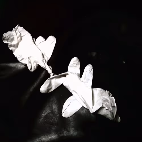 Item #19579465332489047460725573155417411555821182543570600011556976622478286651393 Media