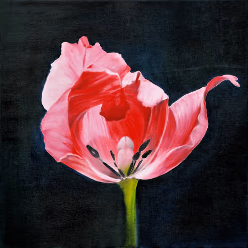 Item #81207412635846640326017366980415821169681077188680122042567003881833339289601 Media