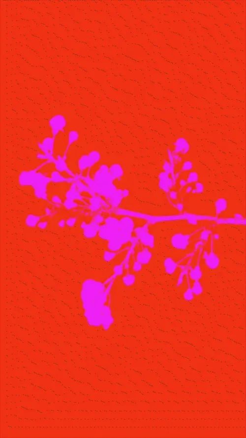 Item #71231624217283081456255847801827661211480774626703836882564083973735323795457 Media