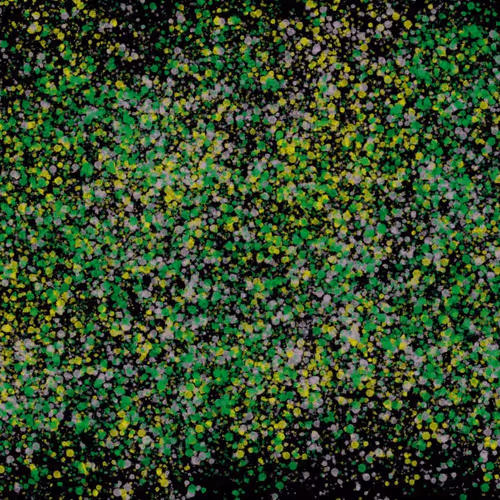 944858660688572096584618472555991747686703840338442188877309533490291671041