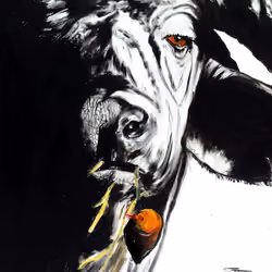 Buffalo